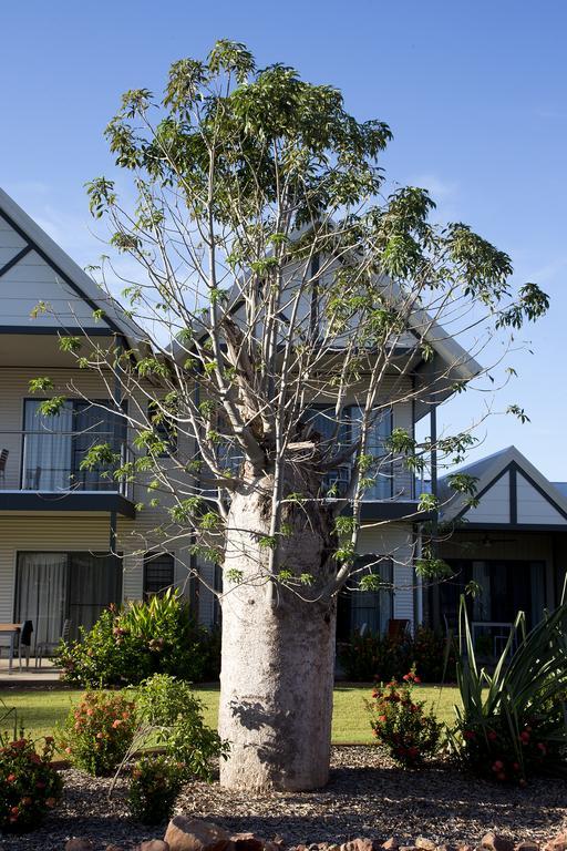 Freshwater East Kimberley Apartments Kununurra Exterior foto